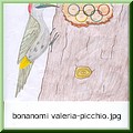 bonanomi valeria-picchio.jpg(37,3 KB)